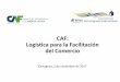 CAF: Logística para la Facilitación del Comercio · Áreas de trabajo Principales productos de Préstamos sector público y privado Financiamiento con recurso limitado (“Project