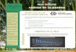 AVANCE PLAN DE cadena de la guadua · Centro Nacional para el Estudio del Bambú 10 Certificación de com-10 Las Mesas Sectoriales 11 ... Vélez Centro de Gestión Agroempresarial