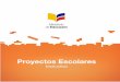 Proyectos Escolares - educar.ec · Subsecretaria para la Innovación Educativa y el Buen Vivir Celine Andrés Oleas ... Instructivo. 1.1 LA METODOLOGÍA DE APRENDIZAJE ... • Desarrollo