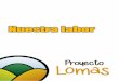 Nuestra labor - Proyecto Lomasproyectolomas.weebly.com/uploads/1/0/6/3/10637077/nuestra_labor.pdf · ... como parte del proyecto ... del 20%, que dan albergue y sustento a numerosas