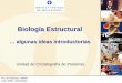 Biología Estructural - biolmol.fcien.edu.uybiolmol.fcien.edu.uy/materiales/Buschiazzo_I.pdf · Estructura de las primeras proteínas - plegamiento 3D. ... radiación emitida depende