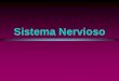 Sistema Nervioso - Semillero de Bioquimica INEM … · (31 pares) Sistema Nervioso Sistema Nervioso Central EL SISTEMA NERVIOSO ESTÁ SUBDIVIDIDO EN: CEREBRO CEREBELO TRONCO CEREBRAL