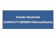FdStilFondo Sectorial CONACYT-SENER-Hid …gestion.cic-ctic.unam.mx/hidrocarburos5.pdf · petróleo crudo pesado. Conformación del Comité y la Comisión Comité Técnico (9 i b