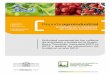 Actividad comercial de los cultivos de arándano y frutilla ...eeaoc.org.ar/upload/publicaciones/archivos/437/... · laborales y de insumos y ... Teniendo en cuenta un esquema de