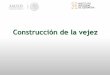 Construcción de la vejez - inger.gob.mxinger.gob.mx/.../PSM_Presentacion_Construccion_de_la_Vejez_060118.pdf · México prehispánico •Los varones ancianos que conservaban sus