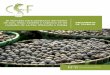 N 11 - conservation-strategy.org · Diciembre 2015 El mercado para productos derivados de asaí, majo, castaña y copoazú en las ciudades de La Paz, Riberalta y Cobija DOCUMENTO