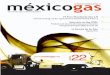méxicogas - MEXICOGAS – La Revista de la Industria del ... · del ramo mas importante, el doméstico, es la de mayor contracción, aunque al principio de su caída el aumento en