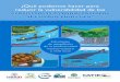 ¿Qué podemos hacer para reducir la vulnerabilidad de los · 2 3 Los ecosistemas marinos y costeros son de una elevada importancia ecológica para el planeta. En ellos habitan un