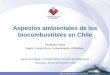 Aspectos ambientales de los biocombustibles en Chile · suelos) Transporte Distribuidor Usuario final Uso de recursos naturales (suelo, agua) Producción materia prima Transporte