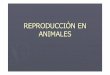 REPRODUCCIÓN EN ANIMALESies-mariamoliner.centros.educa.jcyl.es/sitio/upload/reproduccion... · GEMELOS UNIVITELINOS MELLIZOS O GEM. BIVITELINOS 1 óvulo + 1 espermat . 1 Cigoto 1