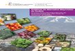 Catálogo de Mercados Mayoristas de Acopiosinagap.agricultura.gob.ec/.../catalogos_mercados/mercado_riobamba… · entendimiento al usuario de la información que contiene el Catálogo