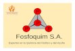 Fosfoquim S.A. - asiquim.com€¦ · riesgos para el transporte de cargas por carretera. FOSFOQUIM S.A. FOSFOQUIM S.A. FOSFOQUIM S.A. ... Errores frecuentes en el desarrollo de una