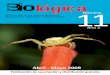 Boletin Biologica 11 (Tapa) - ugr.espagoga/biologica11.pdf · El Club en el Tercer Congreso de Biodiversidad. pág 38: Juegos: Biogrilla. Tema: humedales. ... Museo expresó en una
