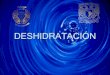 DESHIDRATACI“N - .Tratamiento Reposici³n del porcentaje de deshidrataci³n Fluidos Problema Soluci³n
