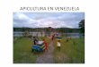 APICULTURA EN VENEZUELA - apimondia.com E… · apicultura en venezuela. venezuela zona tropical con dos estaciones: ... produccion de polen, jalea real, apitoxina y propoleos en