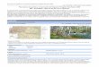 Plan básico de gestión y conservación del Espacio ...lifemedwetrivers.eu/sites/default/files/documentos/es4190067.pdf · ZEC - ES4190067 - Riberas del Río Tera y afluentes Plan