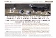 EFECTO DEL PESO AL SACRIFICIO SOBRE LAS … · El presente trabajo es parte del mismo. ... Los animales se sacri˜ caron en el matadero más cerca-no a la explotación. Tras el sacri˜