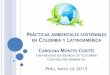 PRÁCTICAS AMBIENTALES SOSTENIBLES EN … · prÁcticas ambientales sostenibles en colombia y latinoamÉrica carolina montes cortÉs universidad externado de colombia contralora ambiental