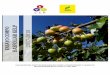 PO AR KELP 8estudios.ceresearch.com/upload/pdf/Producto:-Basfoliar-Kelp-065c3f... · Carga frutal ... Del mismo modo, ... sobre el desarrollo vegetativo de la parte aérea de la planta,