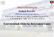 Universidad Abierta Interamericana - Dr. RAFAEL … · • El contacto de una neurona sensitiva con una neurona motora con intervención o no de una interneurona formarían un arco