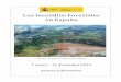 Los Incendios Forestales en España - 32 años al … · Interministerial de Coordinación para la Prevención y Lucha contra los Incendios Forestales, de los 