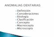 Definición Consideraciones Etiología Clasificaciónecaths1.s3.amazonaws.com/anatomiapatologicaodontount/1387882331... · En las anomalías dentarias la causa actúa durante las
