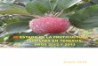Estado Fruticultura Templada en Tenerife 2012-2013 · ESTADO DE LA FRUTICULTURA TEMPLADA EN LA ISLA DE TENERIFE. AÑOS 2012 Y 2013 1.- Antecedentes ... (Camuesa, Reinetas Blanca y