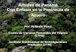 Árboles de Panamá Con Énfasis en la Península de … · (Mangle piñuelo, Pie de santo) ... Ruprechtia costata (Palo de gallina, dardo) Rhizophora mangle (Mangle, Mangle rojo)