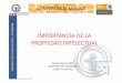 IMPORTANCIA DE LA PROPIEDAD INTELECTUAL - … · (Organización Mundial de la Propiedad Intelectual) y el Instituto Mexicano de la Propiedad Industrial (IMPI). ... gestión de negocidiitiódfiios,