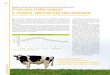 Situación del mercado de la leche de vaca y productos … · Situación del mercado de la leche de vaca y productos lácteos en 2012 En el Comité Consultivo de Leche de Vaca, celebrado