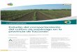 Estudio del comportamiento del cultivo de espárrago … · 24 Avance Agroindustrial 36 (3) Cultivos alternativos AGROINDUSTRIAL Estudio del comportamiento del cultivo de espárrago