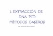 1. EXTRACCIÓN DE DNA POR MÉTODOS CASEROSdocentes.educacion.navarra.es/ralvare2/DNAExtraccion.pdf · También se puede utilizar batidora (medio vaso de guisantes durante 5-15 segundos)