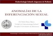 ANOMALÍAS DE LA DIFERENCIACIÓN SEXUALcampus.usal.es/~ogyp/Clases teoricas 2014 2015/Endocrino/ads clase.… · •Clasificación de las anomalías de la diferenciación sexual 