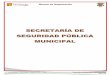 Manual de Organización - Gobierno de Tapachula 2015portal.tapachula.gob.mx/docs/ManualDeOrganizacion12-15/17_Seguri... · Manual de Organización ... Dirección Operativa de Seguridad