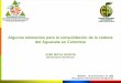Algunos elementos para la consolidación de la cadena del ... · del Aguacate en Colombia JOSÉ MAYA GARCÍA Gerente General Asohofrucol ... III Congreso Latinoamericano del Aguacate