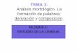 TEMA 1: Análisis morfológico. La formación de palabras ...iesparquegoya.es/files/lengua/TEMA 1.pdf · Mapa Conceptual 2 Tema 1: Análisis morfológico de las palabras Bloque 1: