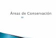 Presentación de PowerPoint · Dirección Forestal Dirección de Vida Silvestre Dirección de Parques Nacionales MAG Sistema Nacional de Áreas de Conservación MINAE Modelo de Conservación
