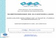 PROGRAMA DE INVERSIONES DE LOS SERVICIOS …armadillo.aaa.com.co/l/wp-content/uploads/lic-11-2017/pliegos... · ( Memorias de Diseño, Especificaciones Técnicas, Presupuestos, Anexos