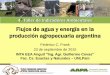 Flujos de agua y energía en la producción agropecuaria ... · 4 Taller de Indicadores Ambientales Flujos de agua y energía en la producción agropecuaria argentina Federico C