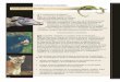 NUESTRA INCIDENCIA EN LA BIODIVERSIDAD …eduteka.icesi.edu.co/pdfdir/Biodiversidad07G.pdf · científica y la conservación en el campo. Para alcanzar las metas del Programa Nacional