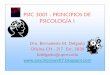 PSIC 3001 - PRINCIPIOS DE PSICOLOGÍA Iacademic.uprm.edu/~morengo/Introduccion-a-la-Psicologia-verano 200… · • Gestalt – Organización y comprensión de la percepción •
