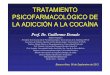Cocaína Tratamiento Psicofarmacológicofundopsi.com.ar/interactivos/files/2012_presentaciones/2012_dorado... · PSICOFARMACOLÓGICO DE LA ADICCIÓN A LA COCAÍNA ... Impacto Frontal