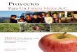 Proyectos Para Un Futuro Mejor A.C. - … Apple - Manzana... · asociación. El objetivo de la asociación es enseñar a ser los mejores productores de frutas posibles, ... quiten