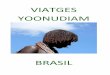 VIATGES YOONUDIAMyoonudiam.com/brasil/documentacio/Destins combinats.pdf · Estancia en Fernando de Noronha Expedición en buggy por la costa nordeste Expedición en barco por el
