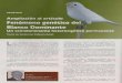 Documento1 - Aviario IndaloCanindalocan.com/revistas/16blancodominante.pdf · las anomalías Mendelianas, de todas ellas; la de las personas y la de los ratones del color amarillo,