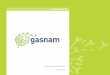 Presentación básica GASNAM Madrid 2018gasnam.es/wp-content/uploads/2018/06/Presentacion... · El ámbito de actuación fue posteriormente modificado de español a ibérico. Constituida