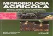 Bacterias promotoras de crecimiento en plantas para · Bacterias promotoras de crecimiento en plantas para ... propositos agricolas y ambientales. In: Microbiologia agrícola: hongos,