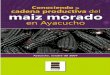 Conociendo la Cadena Productiva de Maíz Morado en … · Conociendo la Cadena Productiva de Maíz Morado en Ayacucho 2 Solid - Perú ... morado que se hizo de manera participativa