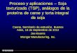 Proceso y aplicaciones Soja texturizada (TSP), análogos de ... · Proceso y aplicaciones – Soja texturizada (TSP), análogos de la proteína de carne y torta integral de soja Caena,