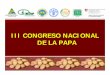 III CONGRESO NACIONAL DE LA PAPA - Home - …cipotato.org/wp-content/uploads/congreso ecuatoriano 3/m_suquilando... · con cultivo asociado. Lo que hace que se deduzca que la mayor